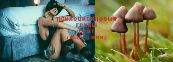 соль курить ск Дмитров