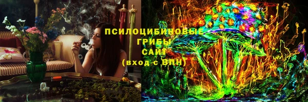 индика Гусев