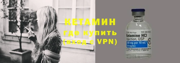 индика Гусев