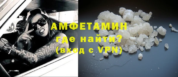 ГАЛЛЮЦИНОГЕННЫЕ ГРИБЫ Ельня