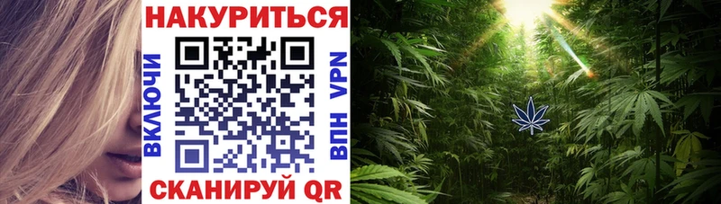 Купить где  Кадников  Канабис семена 